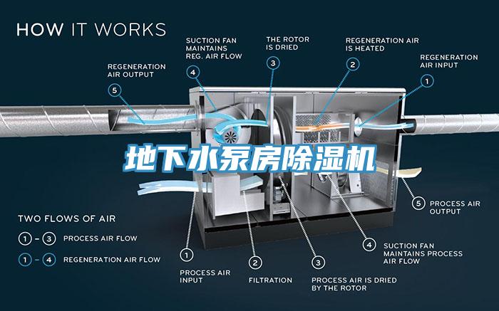 地下水泵房小黄片软件免费下载