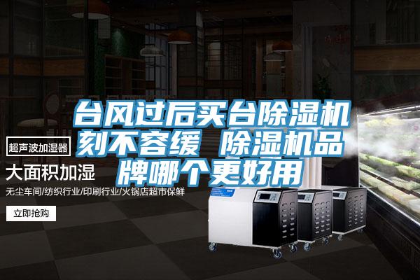 台風過後買台小黄片软件免费下载刻不容緩 小黄片软件免费下载品牌哪個更好用