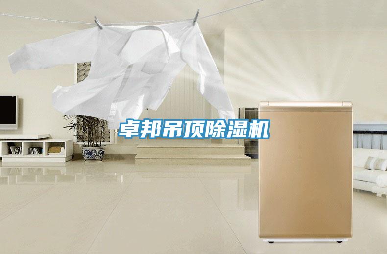 卓邦吊頂小黄片软件免费下载