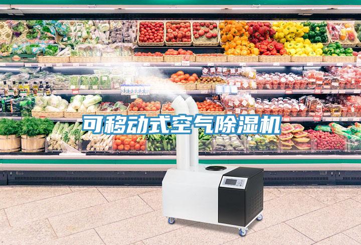 可移動式空氣小黄片软件免费下载