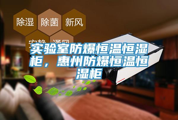 實驗室防爆恒溫恒濕櫃，惠州防爆恒溫恒濕櫃