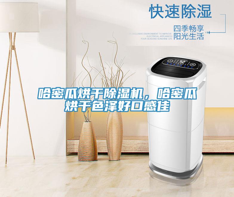 哈密瓜烘幹小黄片软件免费下载，哈密瓜烘幹色澤好口感佳