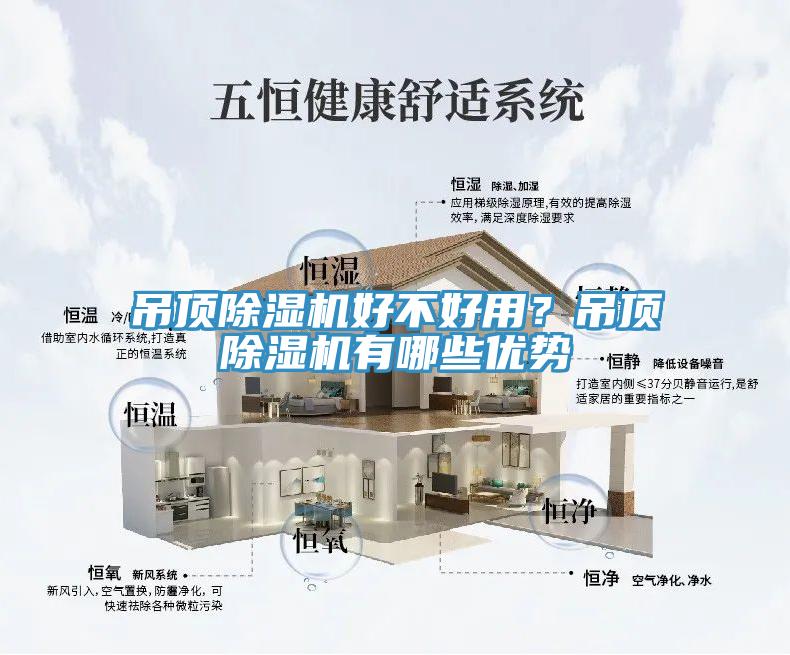 吊頂小黄片软件免费下载好不好用？吊頂小黄片软件免费下载有哪些優勢