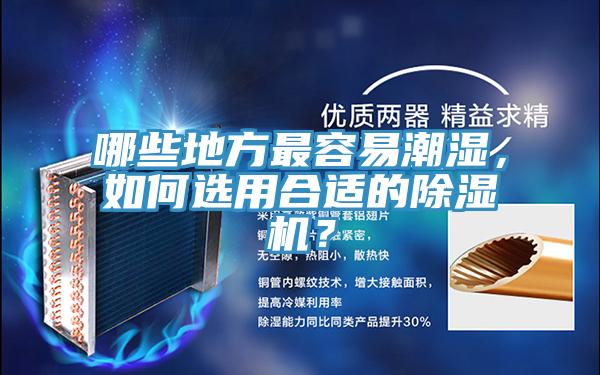 哪些地方最容易潮濕，如何選用合適的小黄片软件免费下载？