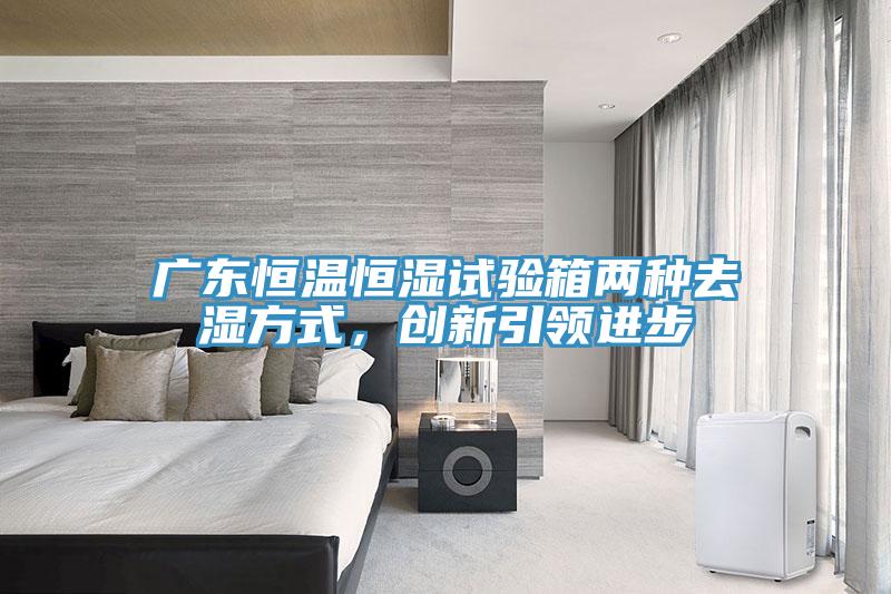 廣東恒溫恒濕試驗箱兩種去濕方式，創新引領進步
