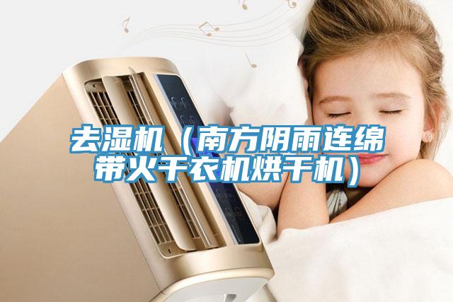 去濕機（南方陰雨連綿帶火幹衣機烘幹機）