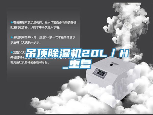 吊頂小黄片软件免费下载20L／H_重複
