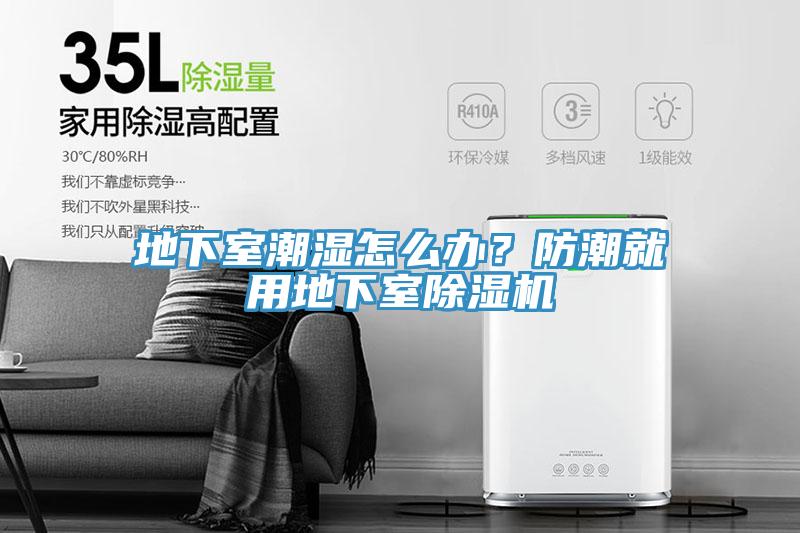 地下室潮濕怎麽辦？防潮就用地下室小黄片软件免费下载
