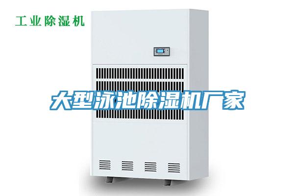 大型泳池小黄片软件免费下载廠家