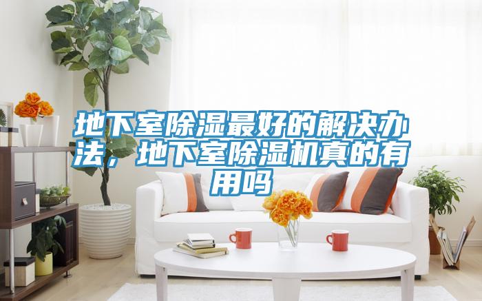 地下室除濕最好的解決辦法，地下室小黄片软件免费下载真的有用嗎