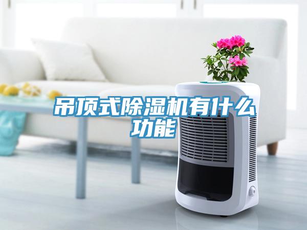 吊頂式小黄片软件免费下载有什麽功能