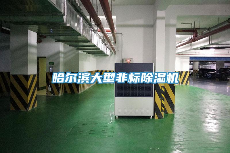 哈爾濱大型非標小黄片软件免费下载