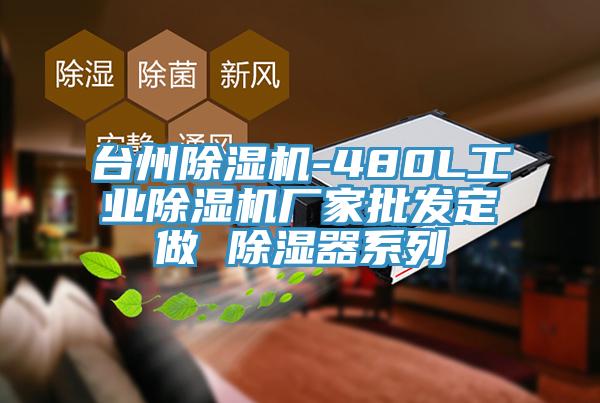 台州小黄片软件免费下载-480L工業小黄片软件免费下载廠家批發定做 除濕器係列