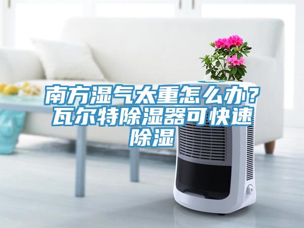 南方濕氣太重怎麽辦？瓦爾特除濕器可快速除濕
