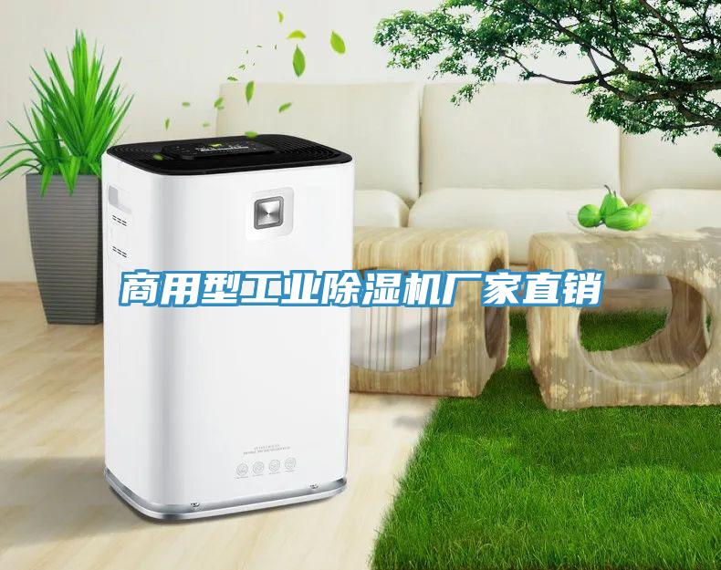 商用型工業小黄片软件免费下载廠家直銷