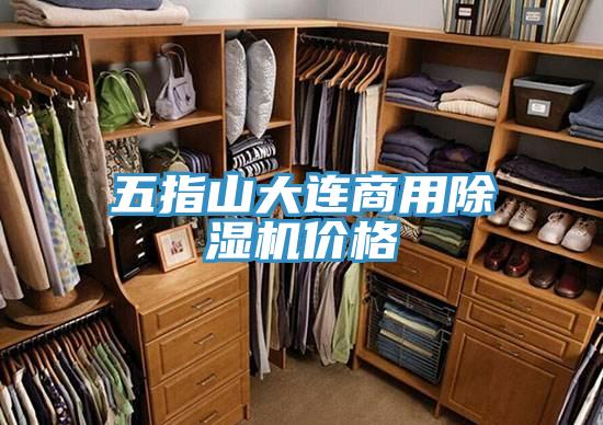 五指山大連商用小黄片软件免费下载價格
