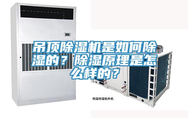 吊頂小黄片软件免费下载是如何除濕的？除濕原理是怎麽樣的？