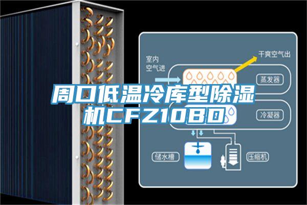 周口低溫冷庫型小黄片软件免费下载CFZ10BD