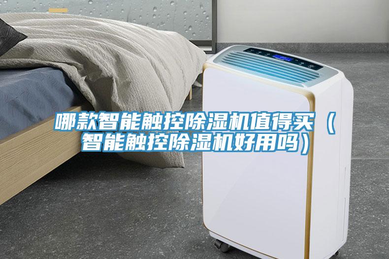 哪款智能觸控小黄片软件免费下载值得買（智能觸控小黄片软件免费下载好用嗎）