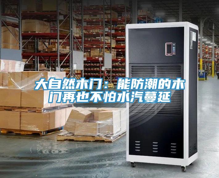 大自然木門：能防潮的木門再也不怕水汽蔓延