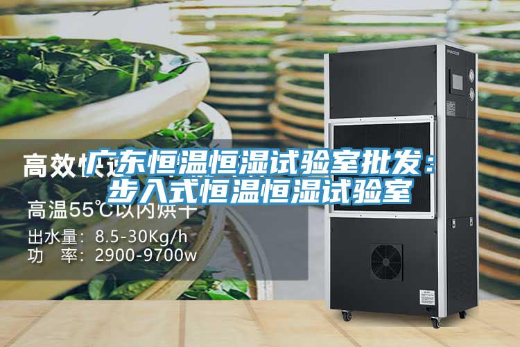 廣東恒溫恒濕試驗室批發：步入式恒溫恒濕試驗室