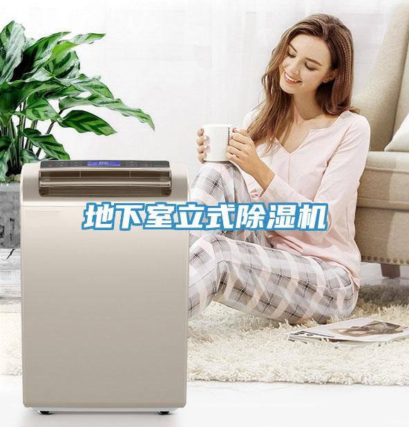 地下室立式小黄片软件免费下载