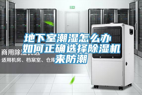 地下室潮濕怎麽辦 如何正確選擇小黄片软件免费下载來防潮