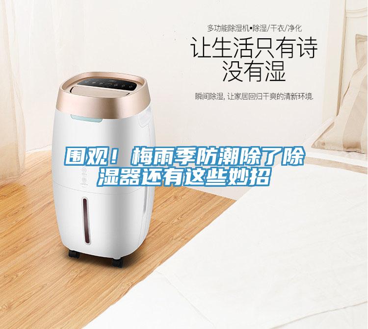 圍觀！梅雨季防潮除了除濕器還有這些妙招