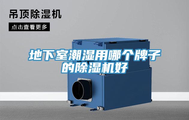 地下室潮濕用哪個牌子的小黄片软件免费下载好