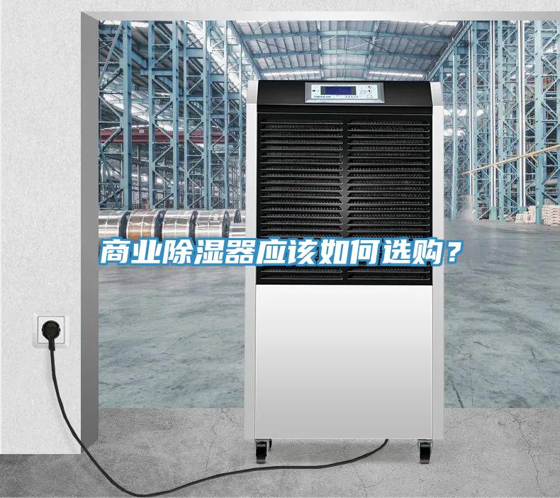商業除濕器應該如何選購？