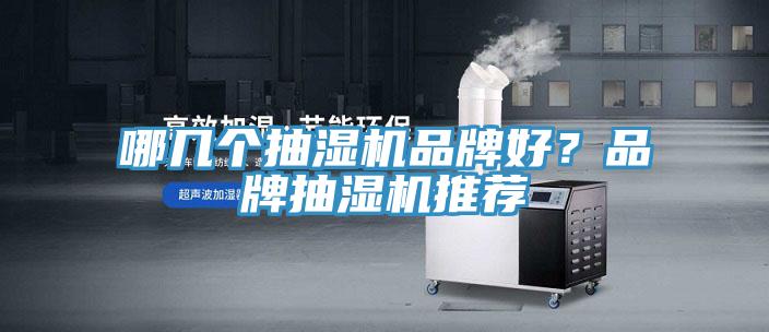 哪幾個抽濕機品牌好？品牌抽濕機推薦