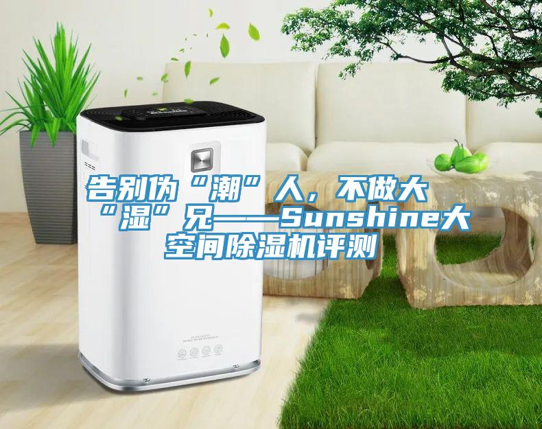 告別偽“潮”人，不做大“濕”兄——Sunshine大空間小黄片软件免费下载評測