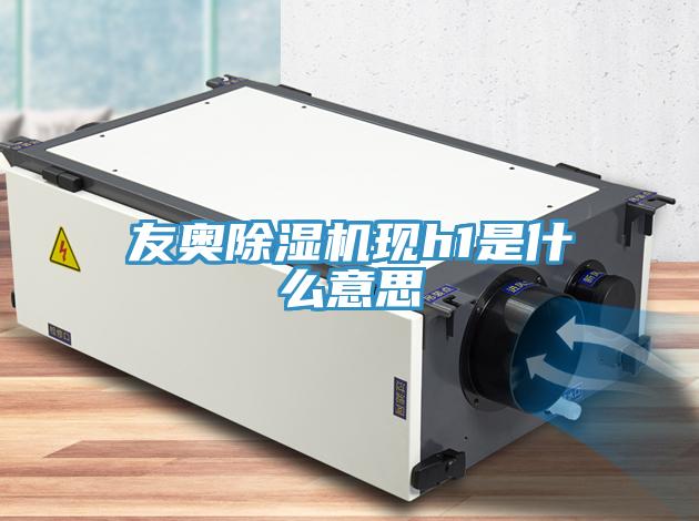 友奧小黄片软件免费下载現h1是什麽意思