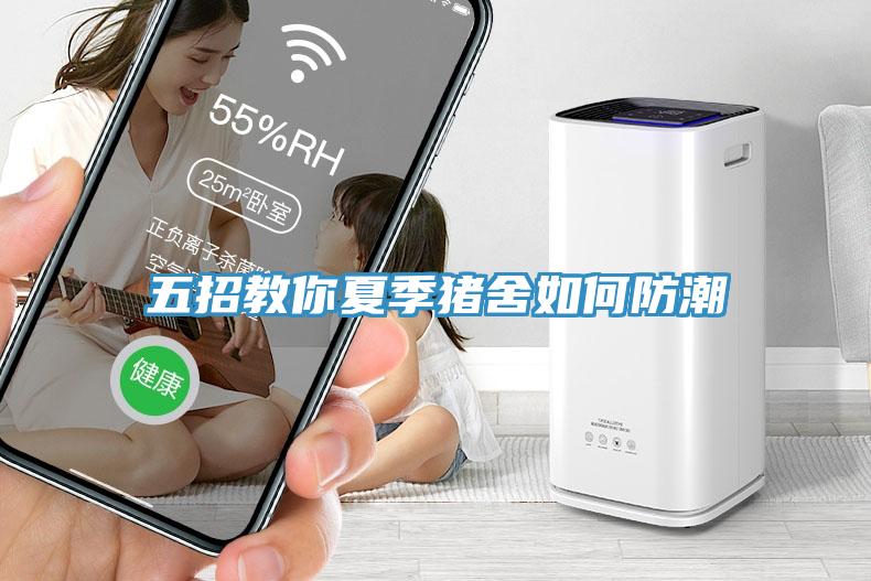 五招教你夏季豬舍如何防潮