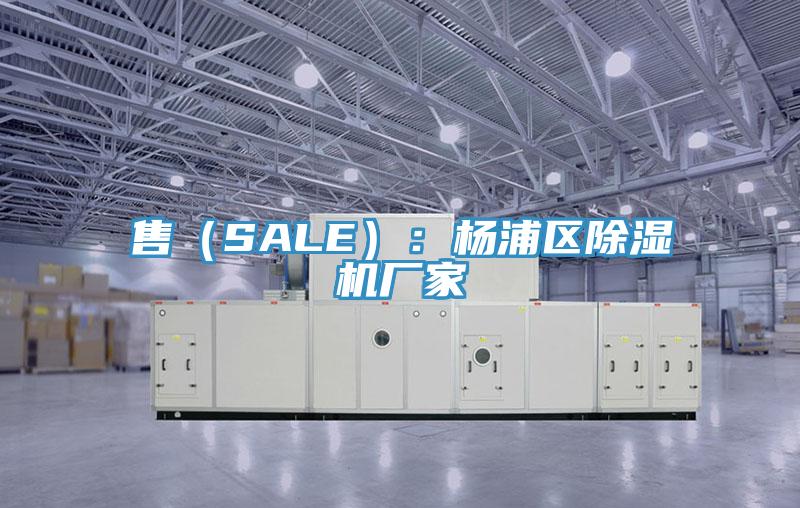 售（SALE）：楊浦區小黄片软件免费下载廠家