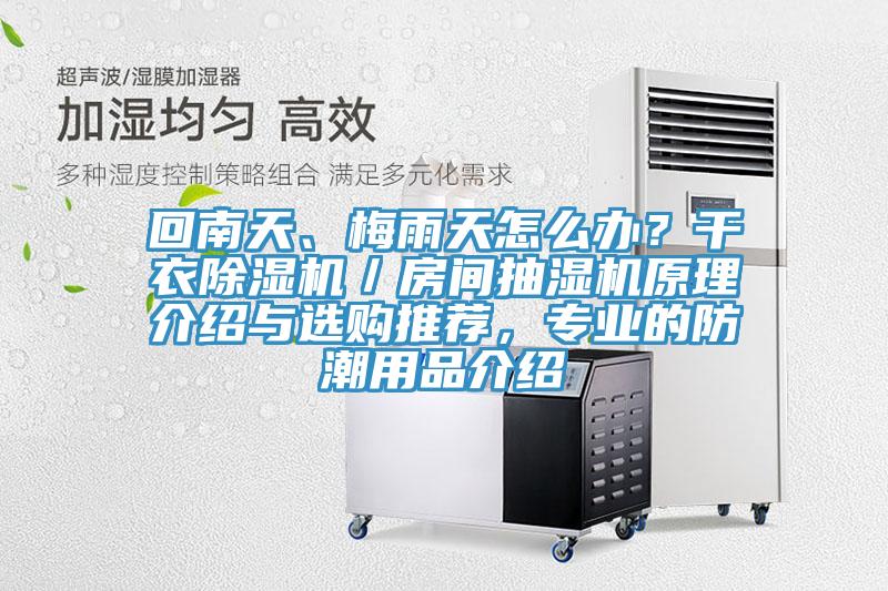 回南天、梅雨天怎麽辦？幹衣小黄片软件免费下载／房間抽濕機原理介紹與選購推薦，專業的防潮用品介紹