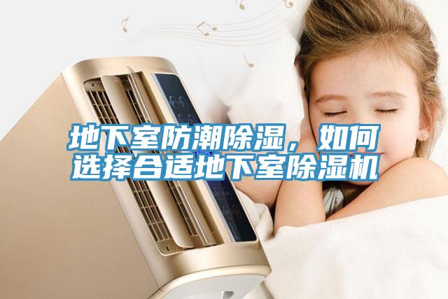 地下室防潮除濕，如何選擇合適地下室小黄片软件免费下载