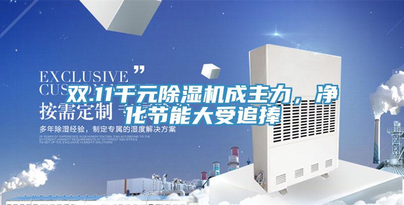 雙.11千元小黄片软件免费下载成主力，淨化節能大受追捧