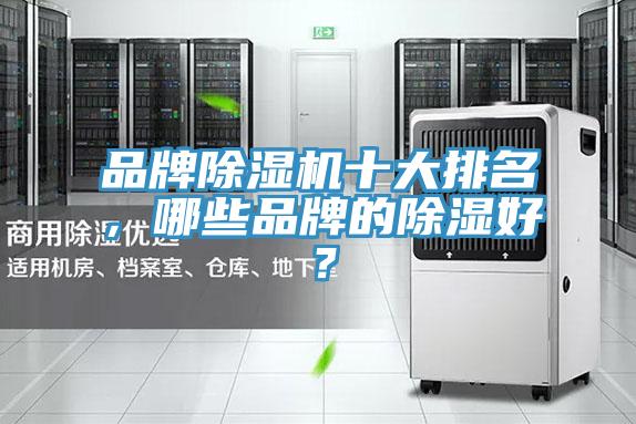 品牌小黄片软件免费下载十大排名，哪些品牌的除濕好？