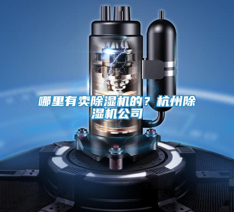 哪裏有賣小黄片软件免费下载的？杭州小黄片软件免费下载公司