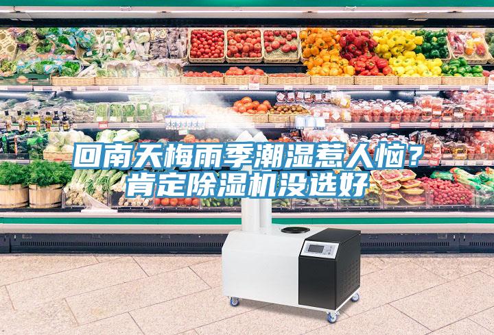 回南天梅雨季潮濕惹人惱？肯定小黄片软件免费下载沒選好