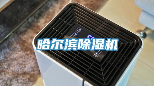 哈爾濱小黄片软件免费下载