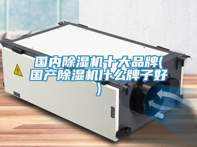 國內小黄片软件免费下载十大品牌(國產小黄片软件免费下载什麽牌子好)