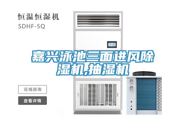 嘉興泳池三麵進風小黄片软件免费下载,抽濕機