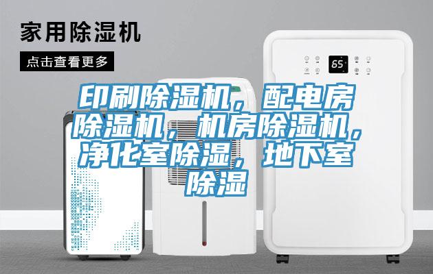 印刷小黄片软件免费下载，配電房小黄片软件免费下载，機房小黄片软件免费下载，淨化室除濕，地下室除濕