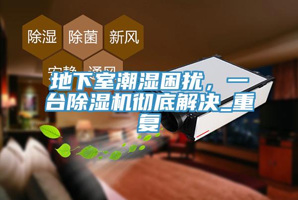 地下室潮濕困擾，一台小黄片软件免费下载徹底解決_重複