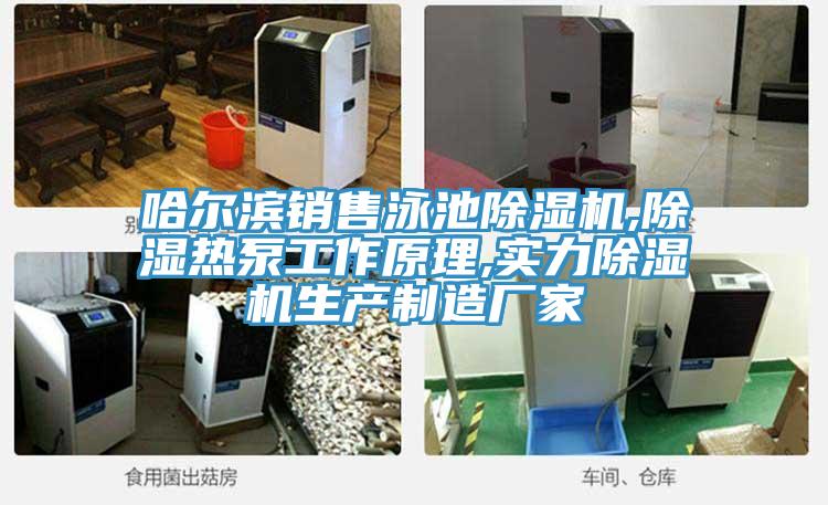 哈爾濱銷售泳池小黄片软件免费下载,除濕熱泵工作原理,實力小黄片软件免费下载生產製造廠家
