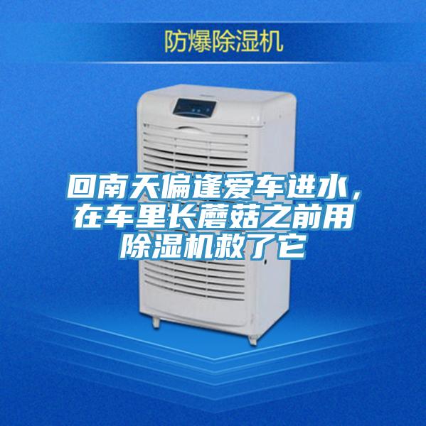 回南天偏逢愛車進水，在車裏長蘑菇之前用小黄片软件免费下载救了它