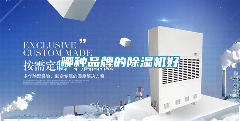 哪種品牌的小黄片软件免费下载好