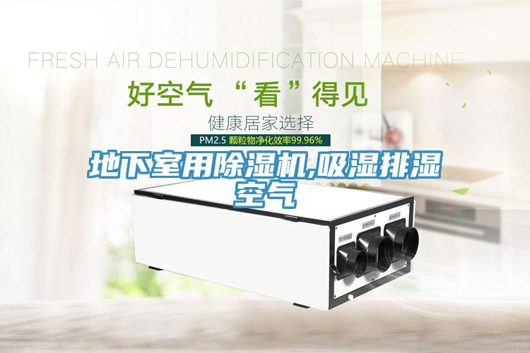 地下室用小黄片软件免费下载,吸濕排濕空氣
